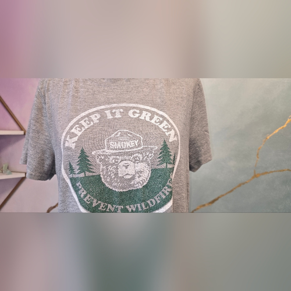 Smoky Bear 'Keep It Green' Prevent Wildfires Graphic Tee See Size Note